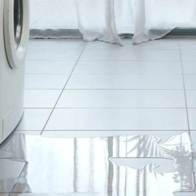 Appliance Leak Cleanup in Norland, FL