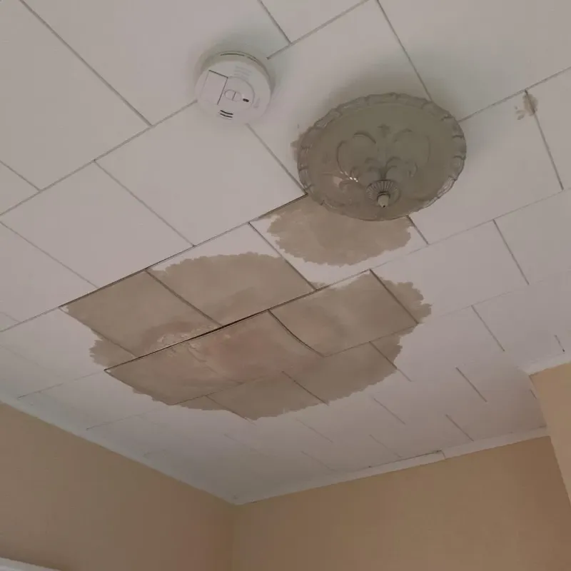 Ceiling Water Damage Repair in Norland, FL