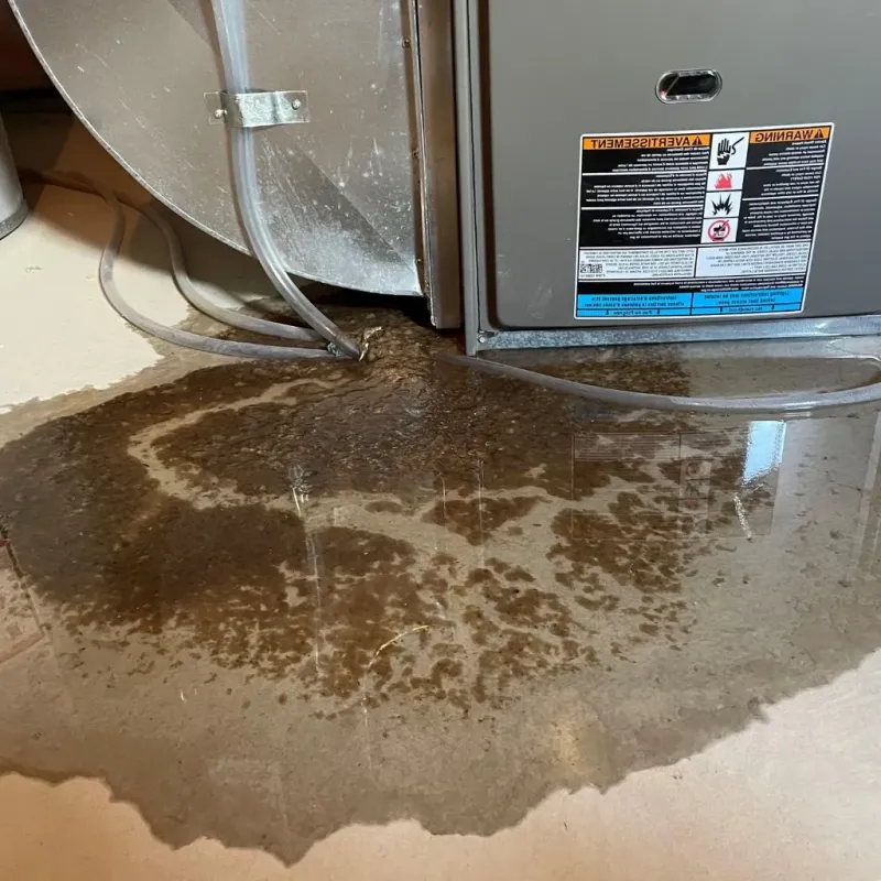 Pipe Burst and Leak Restoration in Norland, FL