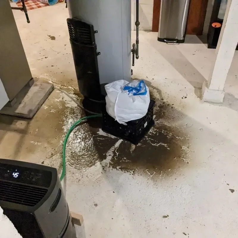 Sewage Backup Cleanup Service in Norland, FL